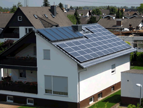 Plants: image 1 0f 4 thumb