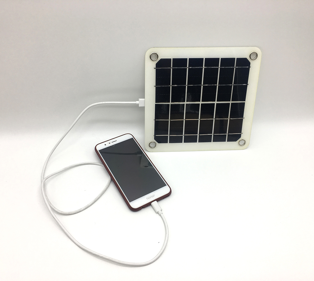 Plants: image 1 0f 4 thumb