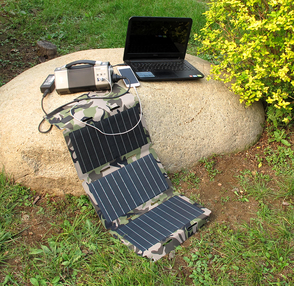 Plants: image 1 0f 4 thumb